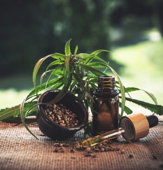 CBD : ruée vers le nouvel or vert